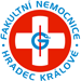 University Hospital Hradec Kralove