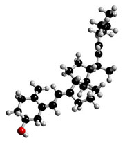3D struktura vitamínu D (zdroj: 3dchem.com)