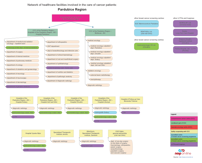 click on the image to display the PDF version of diagram depicting relations among facilities providing cancer care in the Pardubice Region