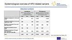 Epidemiological overview of HPV-related cancers: absolute numbers