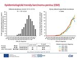 Epidemiologické trendy karcinomu penisu (C60): věková struktura
