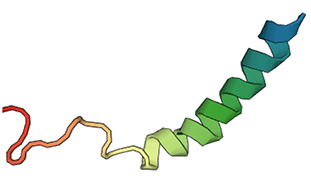 Image from the RCSB PDB (www.rcsb.org) of PDB ID 1RON (Monks, S.A., Karagianis, G., Howlett, G.J., Norton, R.S.) (1996) Solution structure of human neuropeptide Y. J.Biomol.NMR 8: 379-390.