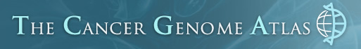 The Cancer Genome Atlas (TCGA)