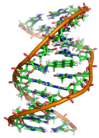 example of an DNA adduct: benzo[a]pyrene, the major mutagen in tobacco smoke (source: wikipedia.org)