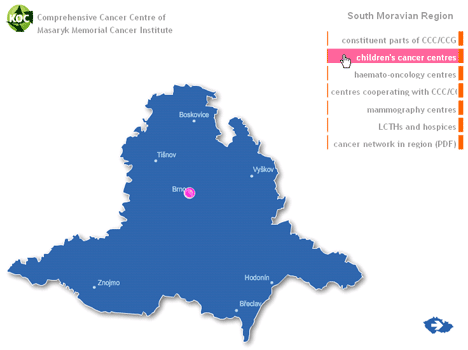Children's Cancer Centres in the South Moravian Region