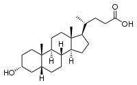 chemická struktura kyseliny litocholové (zdroj: wikipedia.org)