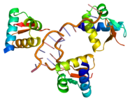 zjednodušený model RNA-vazebného proteinu (zdroj: wikipedia.org)