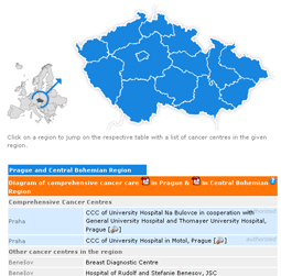 Standardized presentations of comprehensive cancer centres