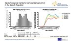 Epidemiological trends for cervical cancer (C53) in the Czech Republic: age structure