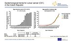 Epidemiological trends for vulvar cancer (C51) in the Czech Republic: age structure