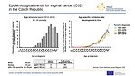 Epidemiological trends for vaginal cancer (C52) in the Czech Republic: age structure