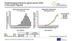 Epidemiological trends for penile cancer (C60) in the Czech Republic: age structure