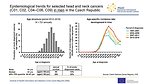 Epidemiological trends for selected head and neck cancers (C01, C02, C04–C06, C09) in men in the Czech Republic: age structure