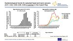 Epidemiological trends for selected head and neck cancers (C01, C02, C04–C06, C09) in women in the Czech Republic: age structure