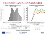 Epidemiologické trendy karcinomu hrdla děložního (C53): věková struktura