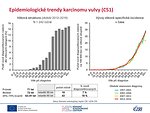 Epidemiologické trendy karcinomu vulvy (C51): věková struktura