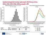 Epidemiologické trendy vybraných ZN hlavy a krku (C01, C02, C04–C06, C09) u mužů v České republice: věková struktura