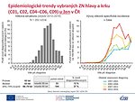 Epidemiologické trendy vybraných ZN hlavy a krku (C01, C02, C04–C06, C09) u žen v České republice: věková struktura